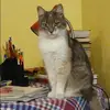 Отзыв от Диана Казанцева